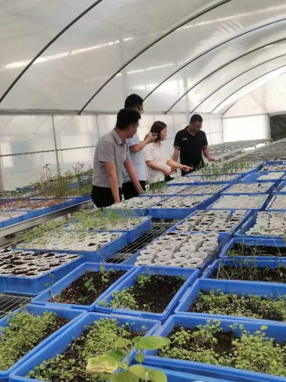 不朽情缘MG官方网站(试玩)游戏登录入口