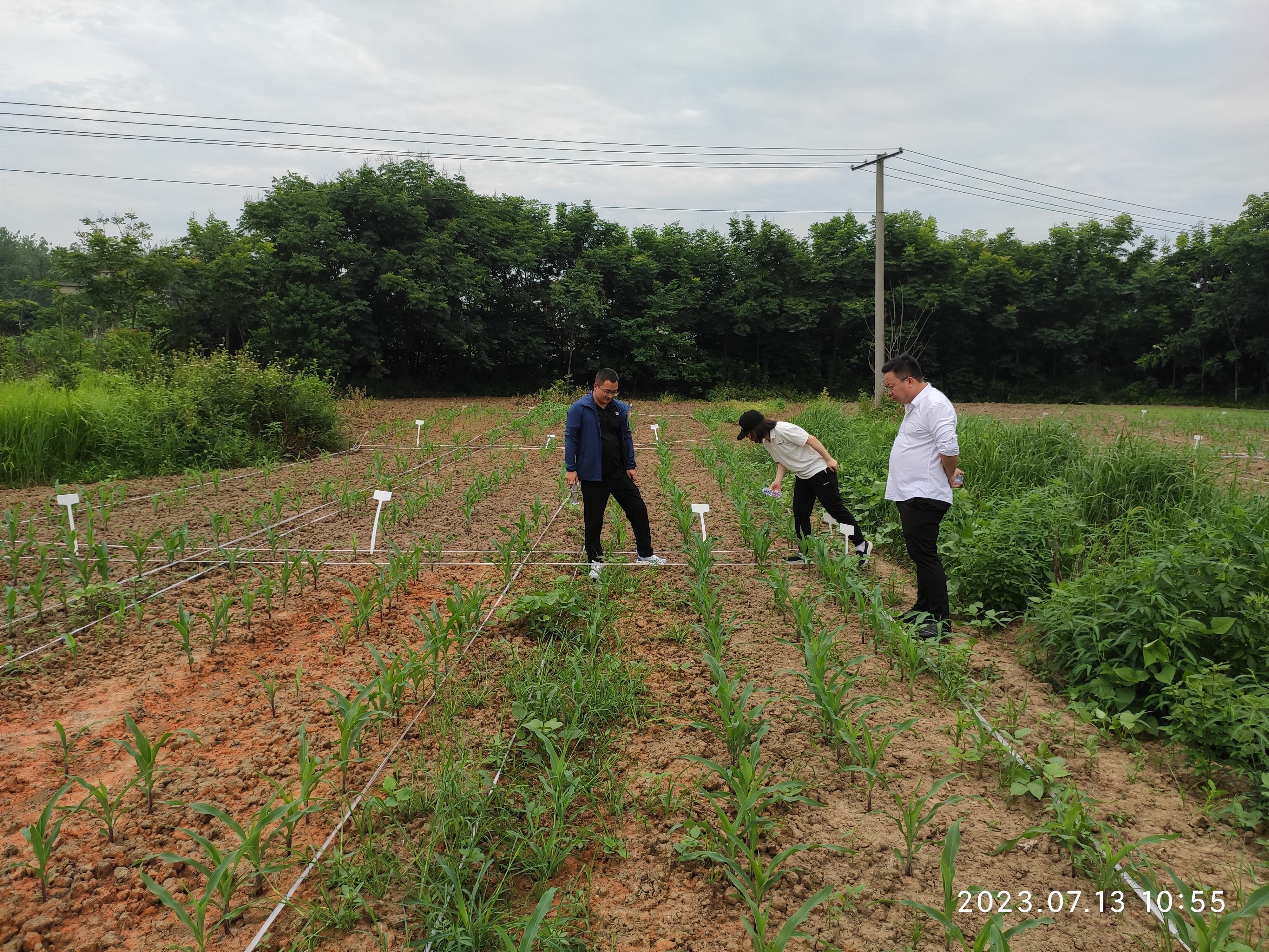 不朽情缘MG官方网站(试玩)游戏登录入口