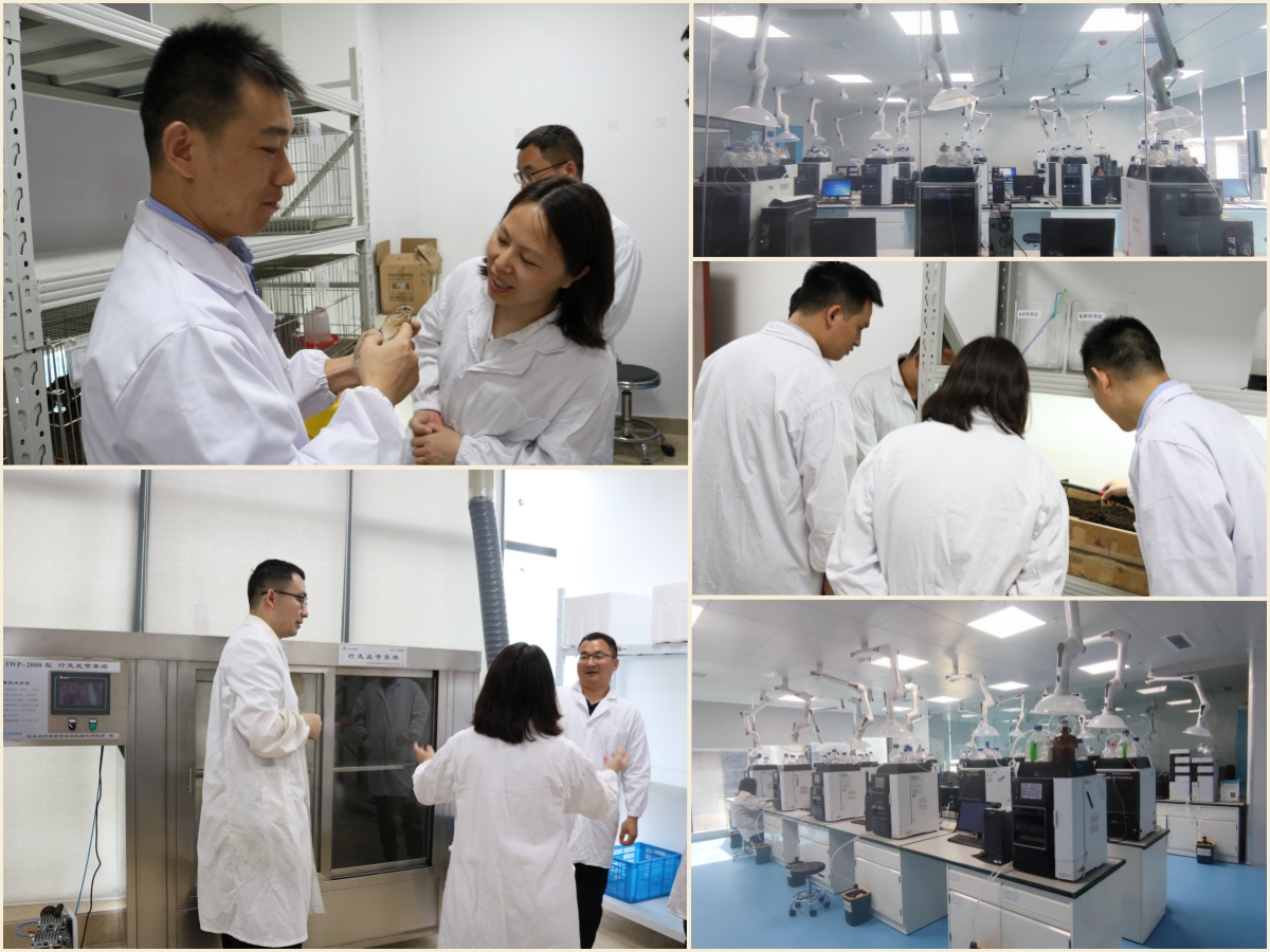 不朽情缘MG官方网站(试玩)游戏登录入口