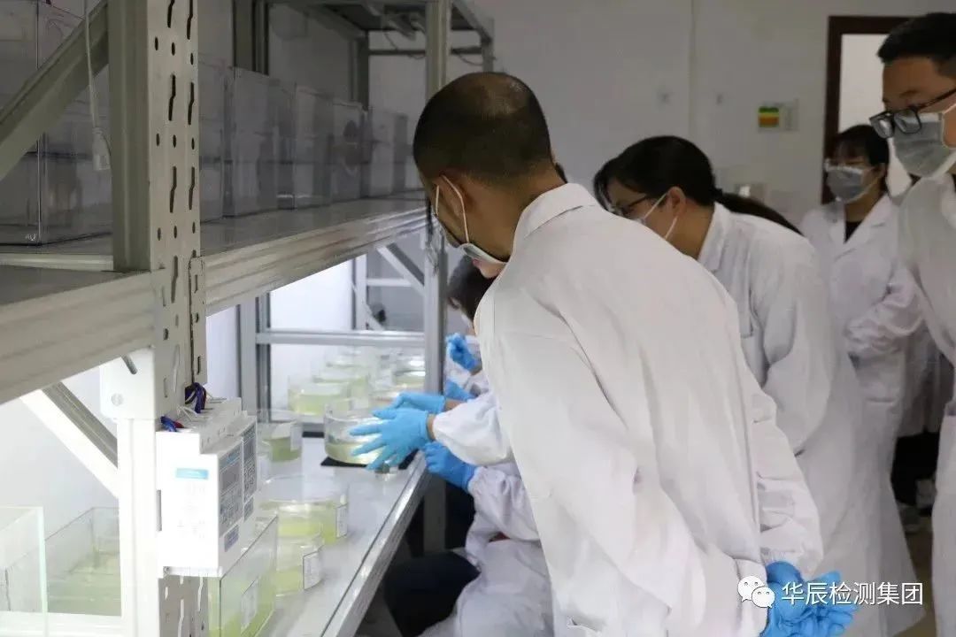 不朽情缘MG官方网站(试玩)游戏登录入口