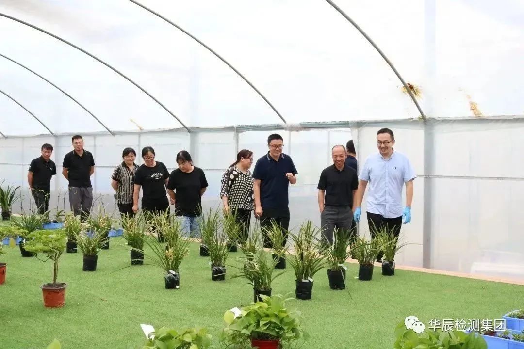 不朽情缘MG官方网站(试玩)游戏登录入口