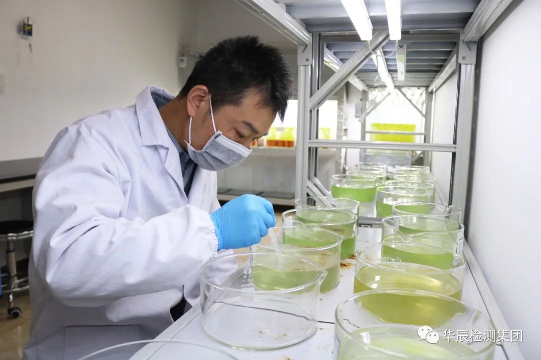 【楷模风范（五）】初心如磐 笃行致远-优异员工孙立栋-企业新闻-不朽情缘