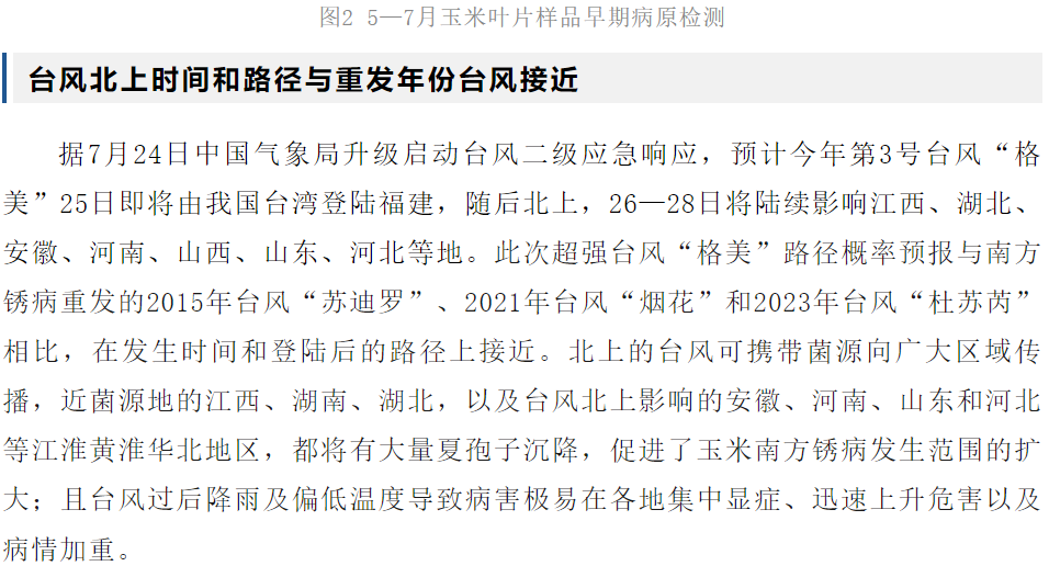 【关注】小心玉米南方锈病在黄淮海地区暴发盛行-行业动态-不朽情缘