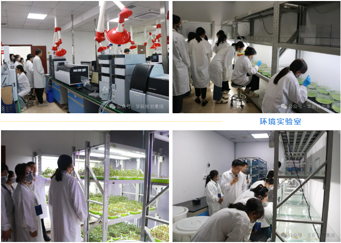 不朽情缘乐成举行农药挂号试验手艺分享交流现场会（第八期）-企业新闻-不朽情缘