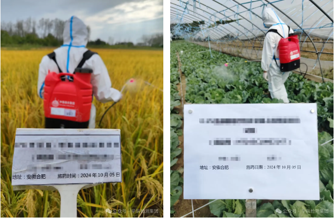 不朽情缘员工国庆坚守岗位，，，以现实验动诠释责任与继续！-企业新闻-不朽情缘