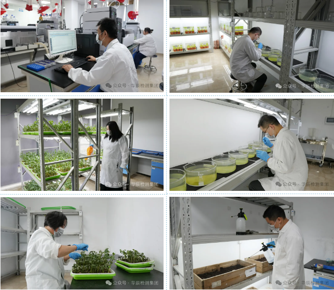 不朽情缘员工国庆坚守岗位，，，以现实验动诠释责任与继续！-企业新闻-不朽情缘