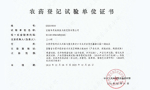 关于不朽情缘-不朽情缘